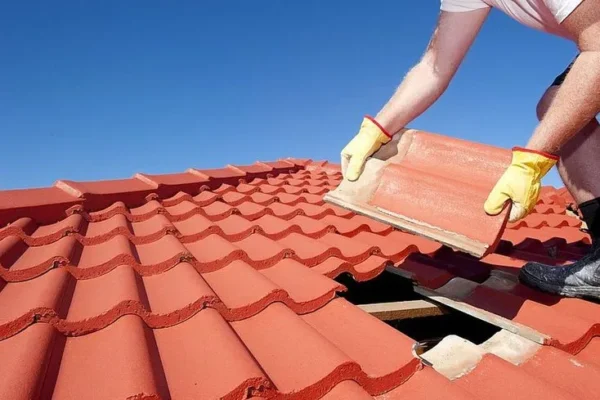 Roof and Leak Repairs